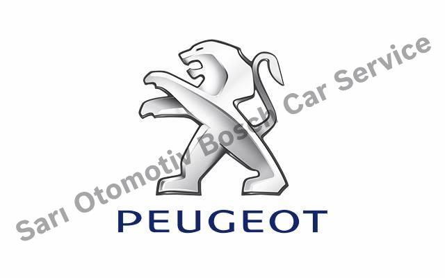 Kırşehir Peugeot Servisi